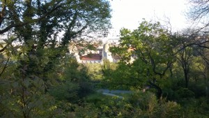 WP_20140409_018.jpg